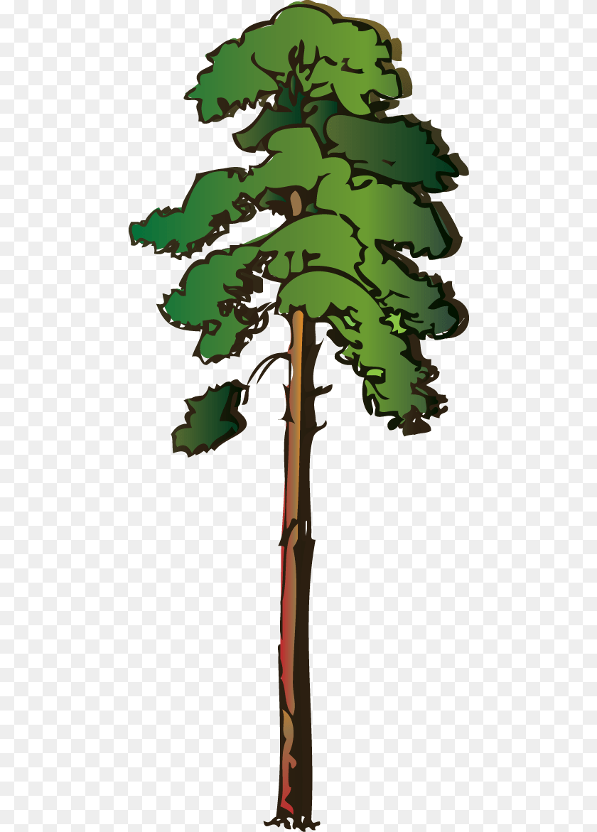 479x1171 Refy Clip Art Tree Images, Vegetation, Green, Plant, Pine PNG