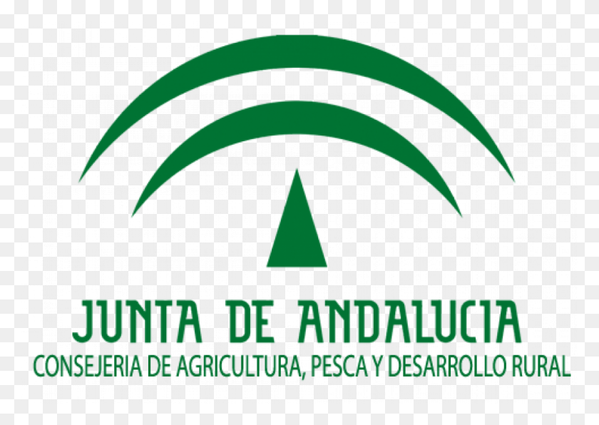 960x660 Regional Government Of Andalusia, Poster, Advertisement, Word HD PNG Download
