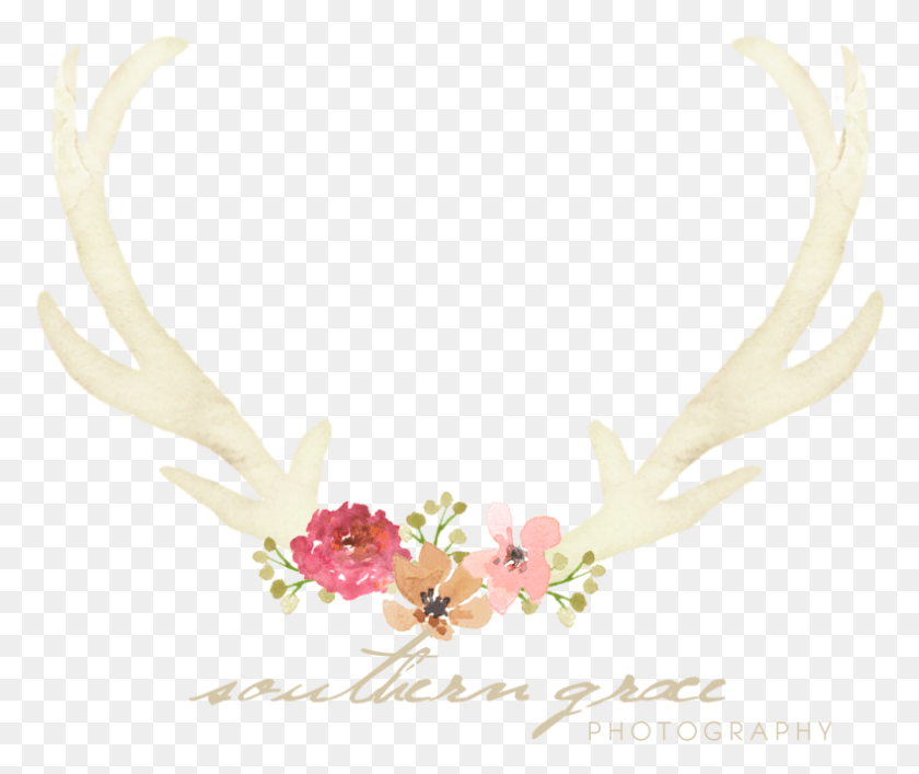 789x655 Reindeer Antlers Headband, Antler, Bird, Animal HD PNG Download