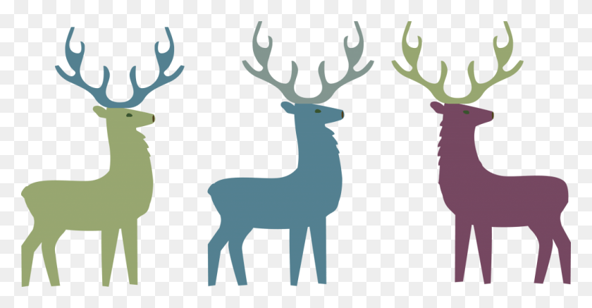 1024x496 Reindeer Reindeer, Antler, Deer, Wildlife HD PNG Download