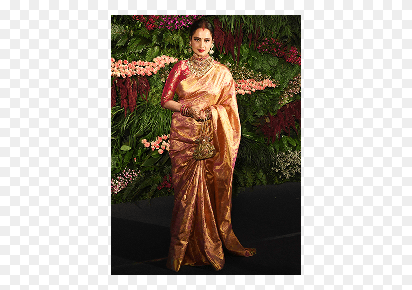 389x531 Descargar Png / Blusa De Rekha Banaras Para Pattu Saris, Ropa, Persona, Planta Hd Png