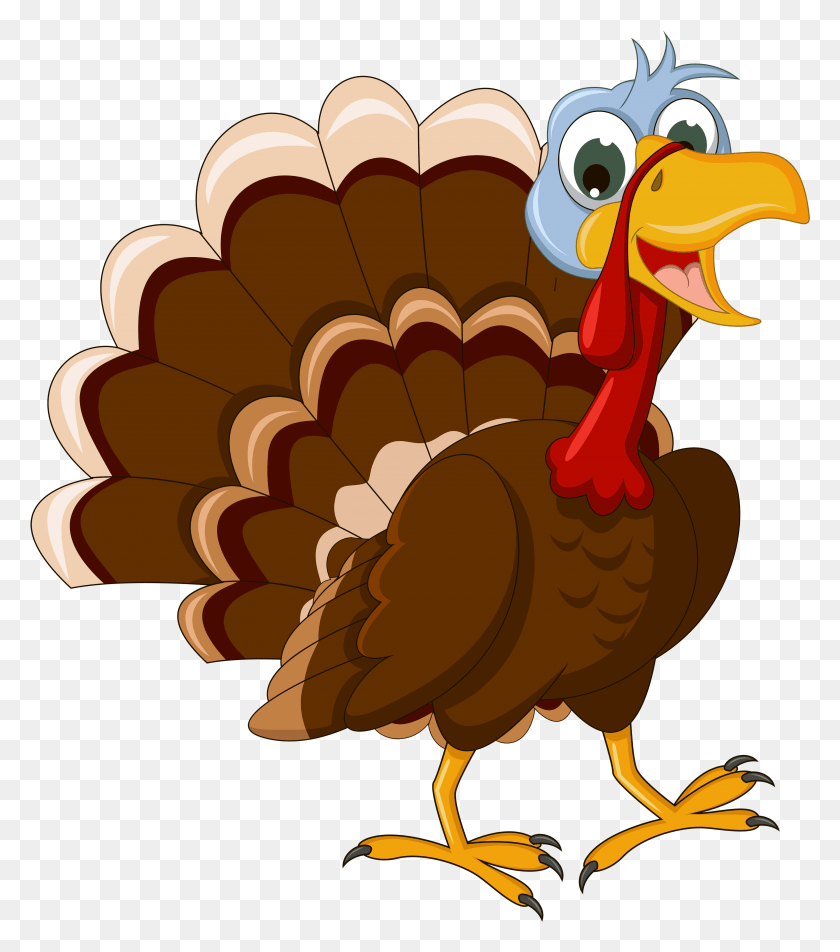 3393x3883 Related Images Turkey Transparent, Fowl, Bird, Animal HD PNG Download