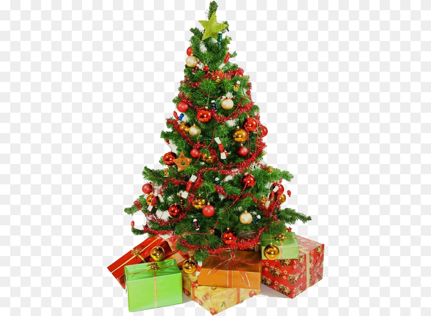 Related Wallpapers Christmas Tree Amp Presents, Plant, Christmas Decorations, Festival, Christmas Tree Clipart PNG
