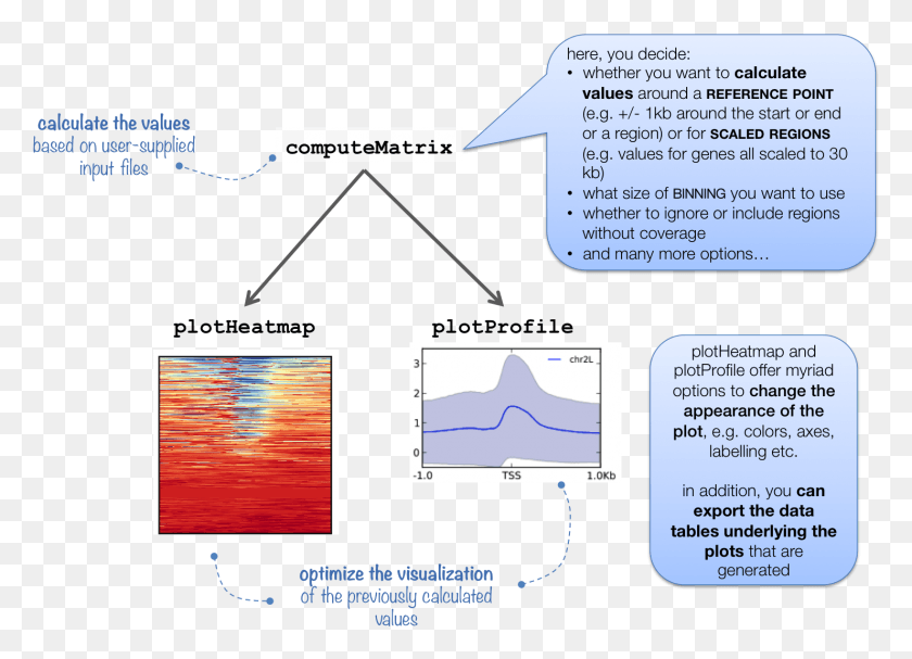 1481x1040 Взаимосвязь Между Computematrix Heatmapper И Deeptools Plotprofile, Текст, Этикетка, На Открытом Воздухе Hd Png Скачать