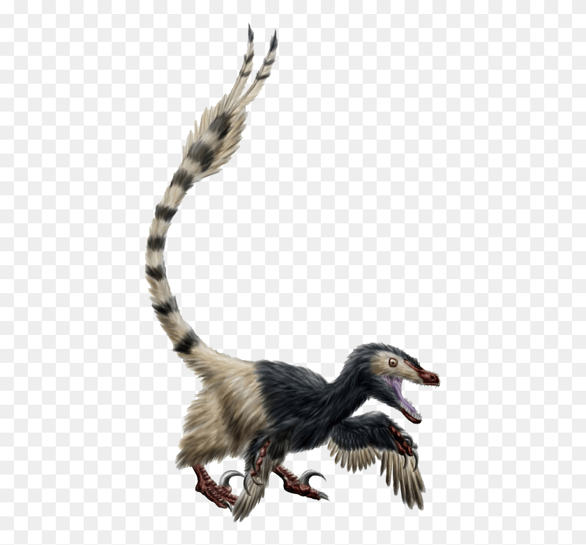425x721 Relay For Life Hesperornis, Bird, Animal, Reptile HD PNG Download