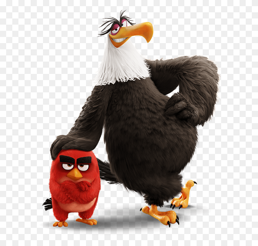 599x739 Releases And Publications Angry Birds Eagle Transparent, Chicken, Poultry, Fowl HD PNG Download
