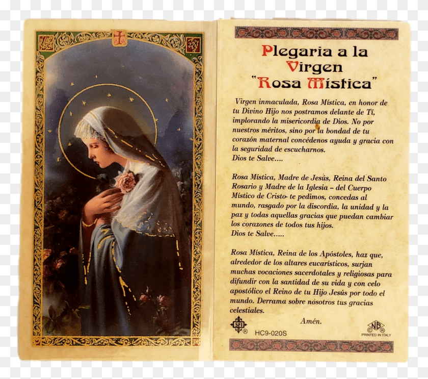 976x855 Religious Prayer Card Plegaria A La Virgen Rosa Mistica Oraciones A Nuestra Rosa Mistica, Book, Person, Human HD PNG Download