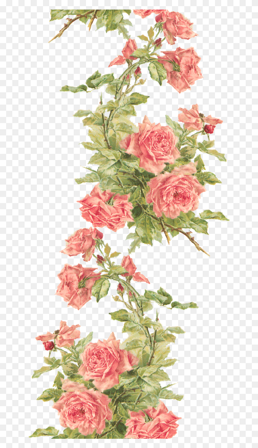 658x1396 Remember It Is So You Need To Keep All The Air Vintage Transparent Background Flowers, Plant, Flower, Blossom HD PNG Download