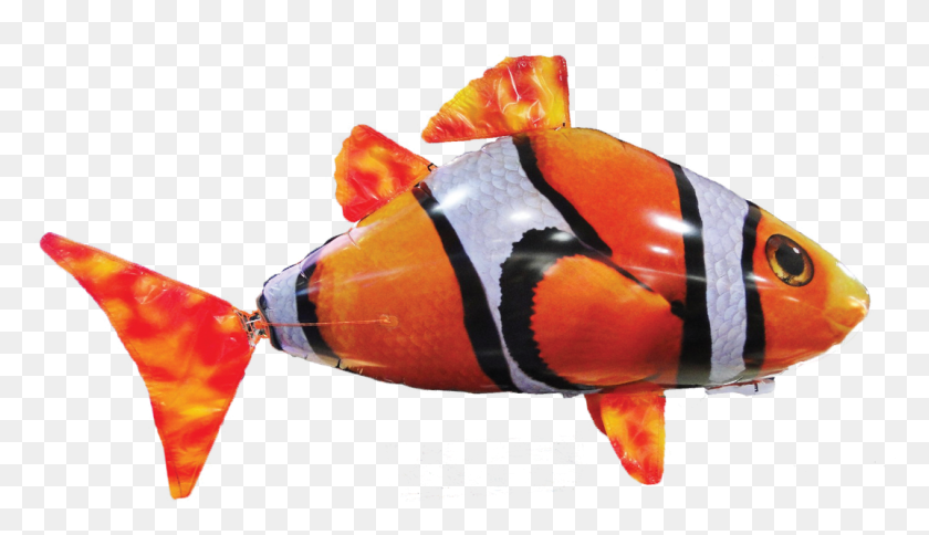 1073x584 Гигантская Надувная Летучая Рыба С Пультом Дистанционного Управления С Автопилотом Ocellaris Clownfish, Животное, Амфиприон, Морская Жизнь Png Скачать