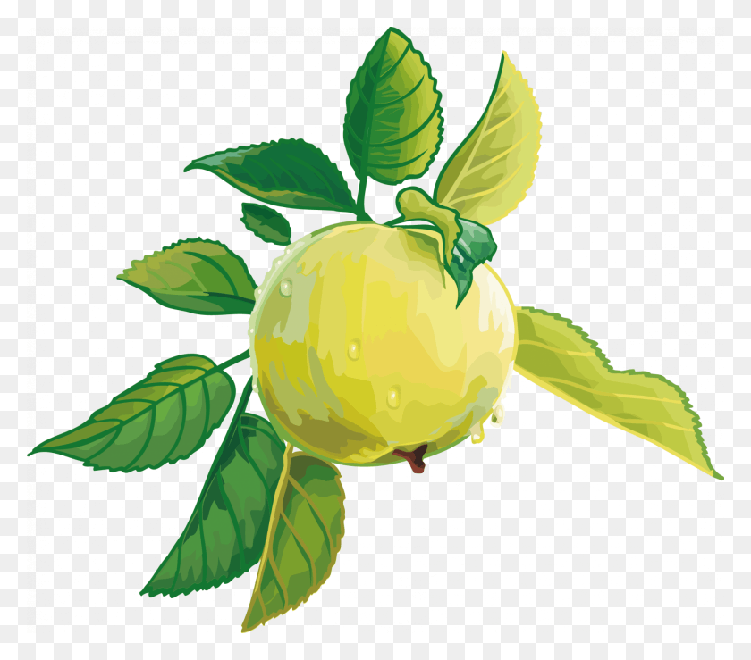 1836x1600 Descargar Png Render Fruit Vector Pomme Fruitsl Gumes Aliments Aliments, Verde, Planta, Hoja Hd Png