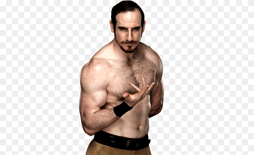 Renders Superstar Models, Portrait, Photography, Person, Head PNG