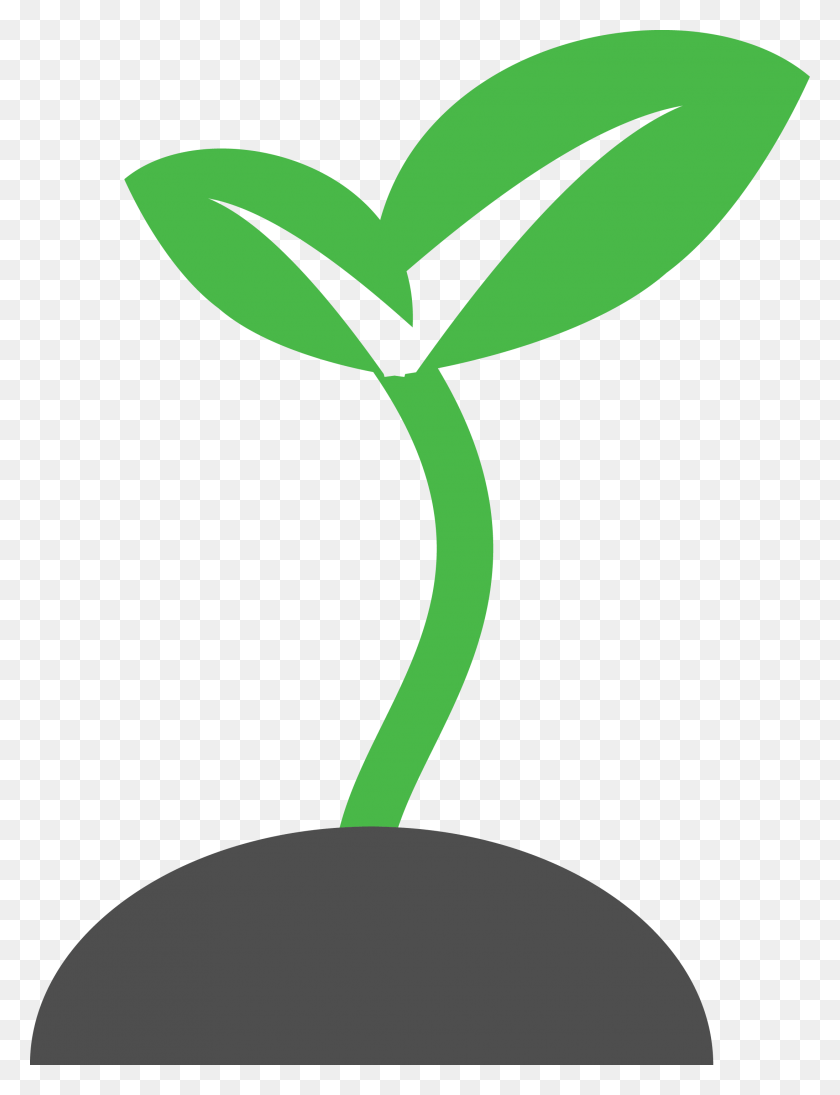 Sprout Clipart.