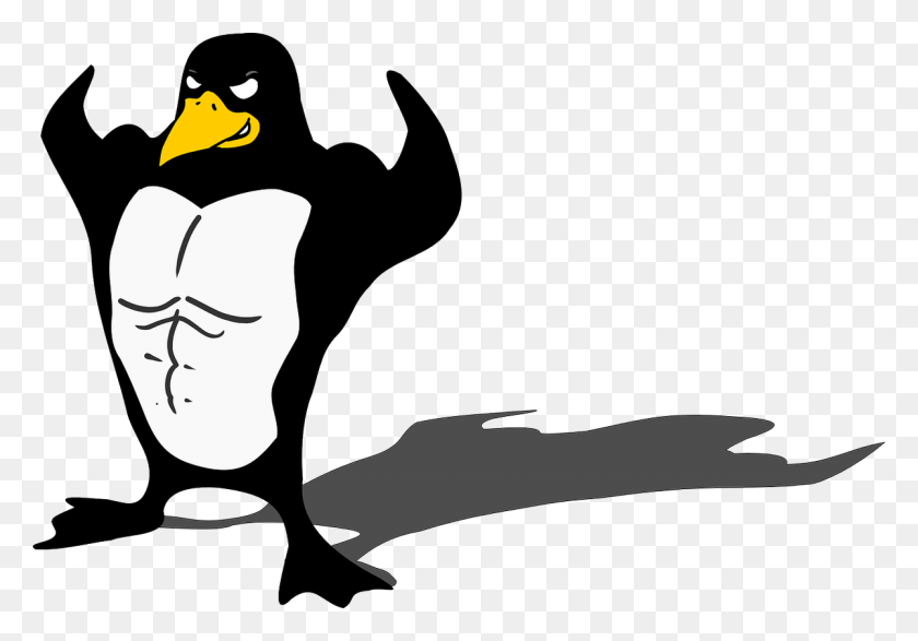 1200x812 Pingüino Con Músculos, Plantilla, Pájaro, Animal, Respuestas 0 Retweets Hd Png