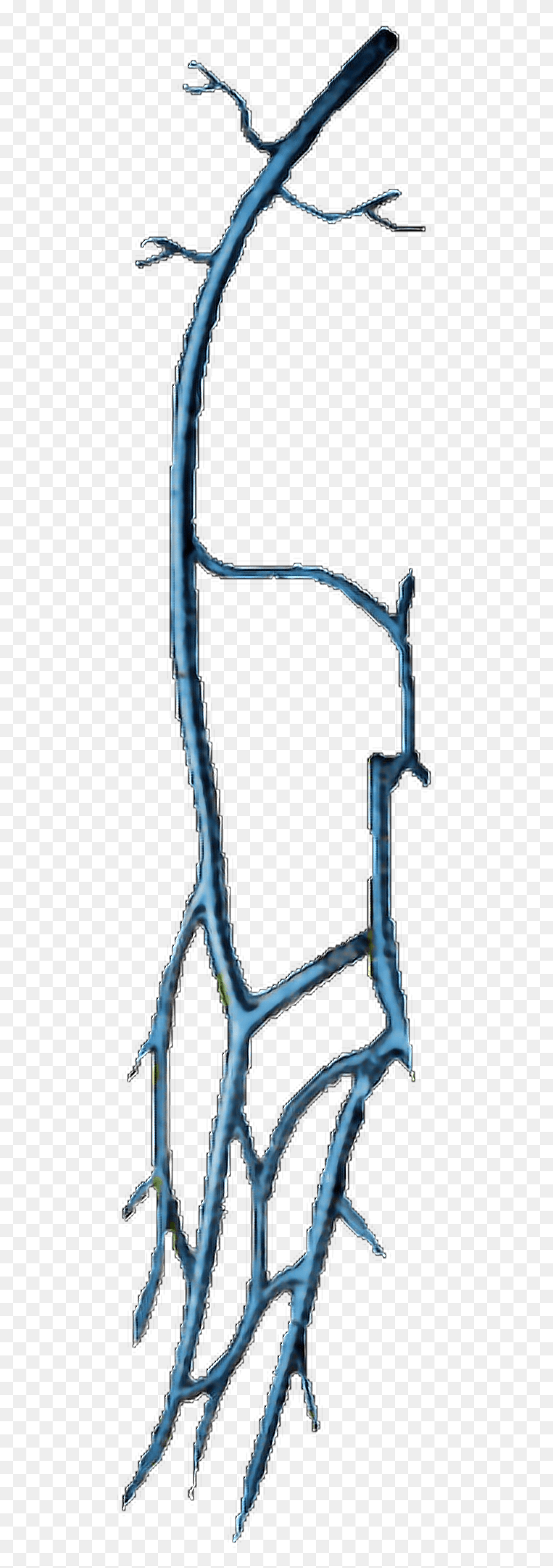 487x2323 Report Abuse Bicycle Frame, Skeleton, X-ray, Ct Scan HD PNG Download