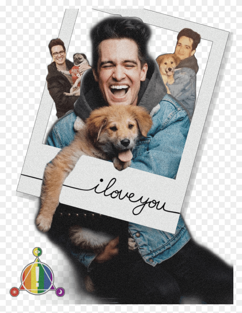 1024x1346 Report Abuse Brendon Urie Wallpaper Iphone, Person, Human, Dog HD PNG Download