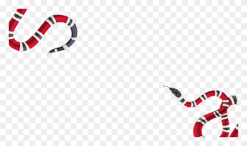 1024x576 Report Abuse Gucci Logo Snake, Person, Human, People HD PNG Download