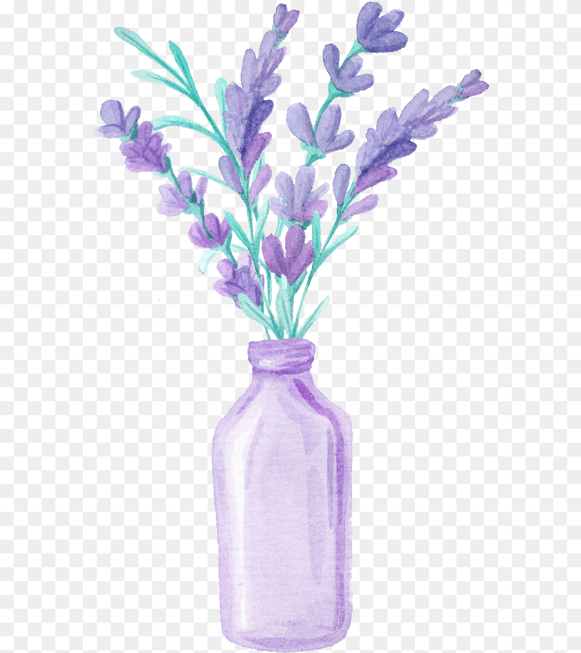 574x944 Report Abuse Lavender In Vase Drawing, Jar, Plant, Pottery, Flower Sticker PNG