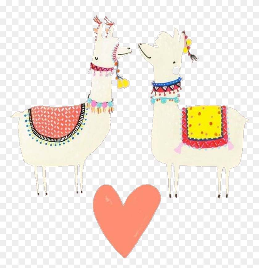 913x950 Report Abuse Llama, Animal, Mammal, Camel HD PNG Download