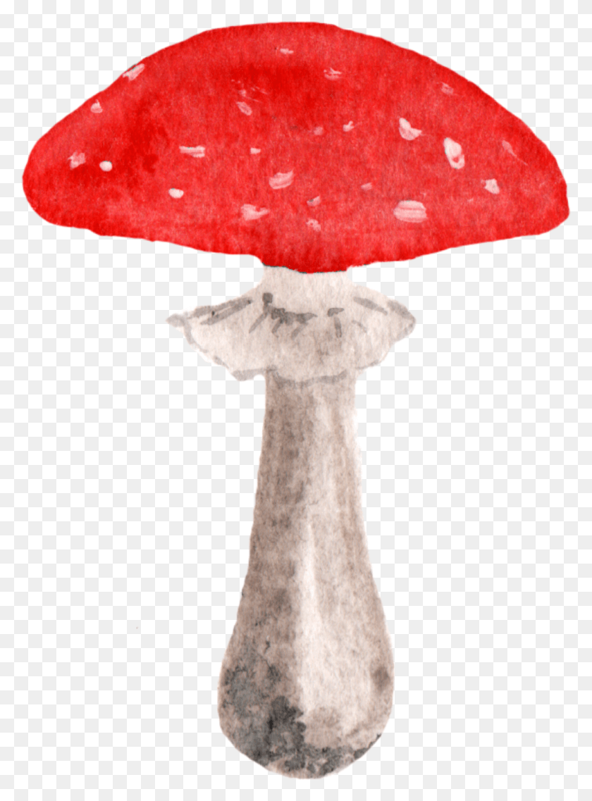 1024x1415 Report Abuse Mushroom Watercolor, Plant, Cross, Symbol HD PNG Download