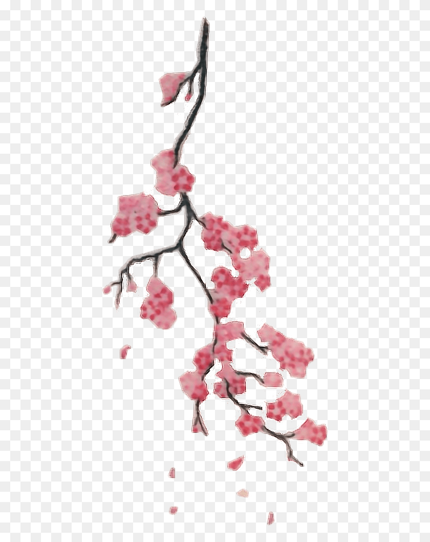 446x998 Report Abuse Small Cherry Blossom Branch Tattoo, Plant, Flower, Blossom HD PNG Download