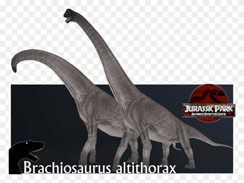 1280x936 Report Rss Brachiosaurus Altithorax Render Brachiosaurus Altithorax Jurassic Park, Dinosaur, Reptile, Animal HD PNG Download