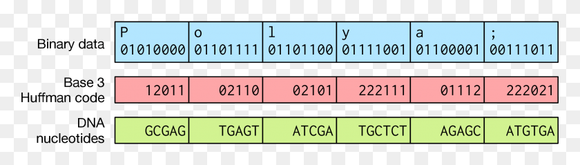 2188x504 Representation Binary To Dna Code, Number, Symbol, Text HD PNG Download