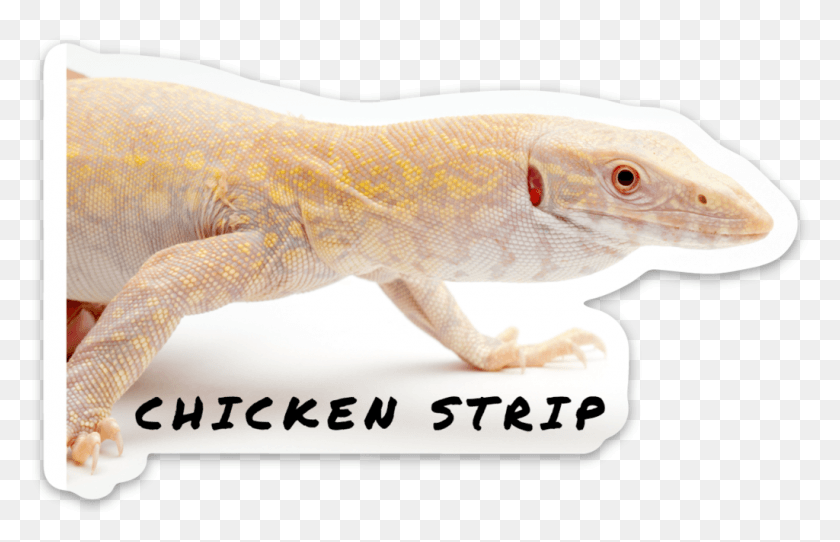 1024x633 Reptarium Chicken Strip, Gecko, Lizard, Reptile HD PNG Download