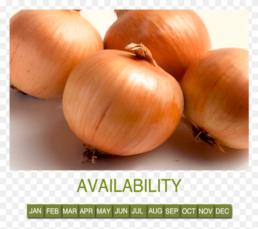 801x704 Request Information Yellow Onion, Plant, Shallot, Vegetable HD PNG Download