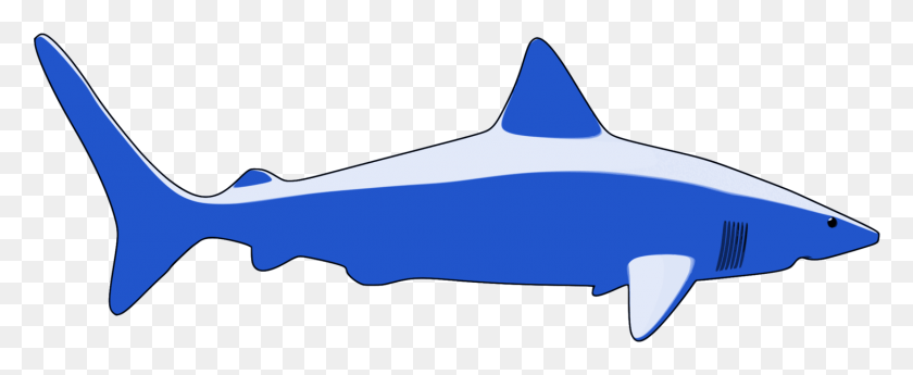 1458x534 Акулы Реквиема Большая Белая Акула Рыба Животное, Морская Жизнь, Млекопитающие Hd Png Скачать