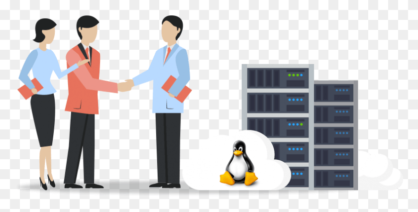 789x371 Reseller Icon King Penguin, Bird, Animal, Person HD PNG Download