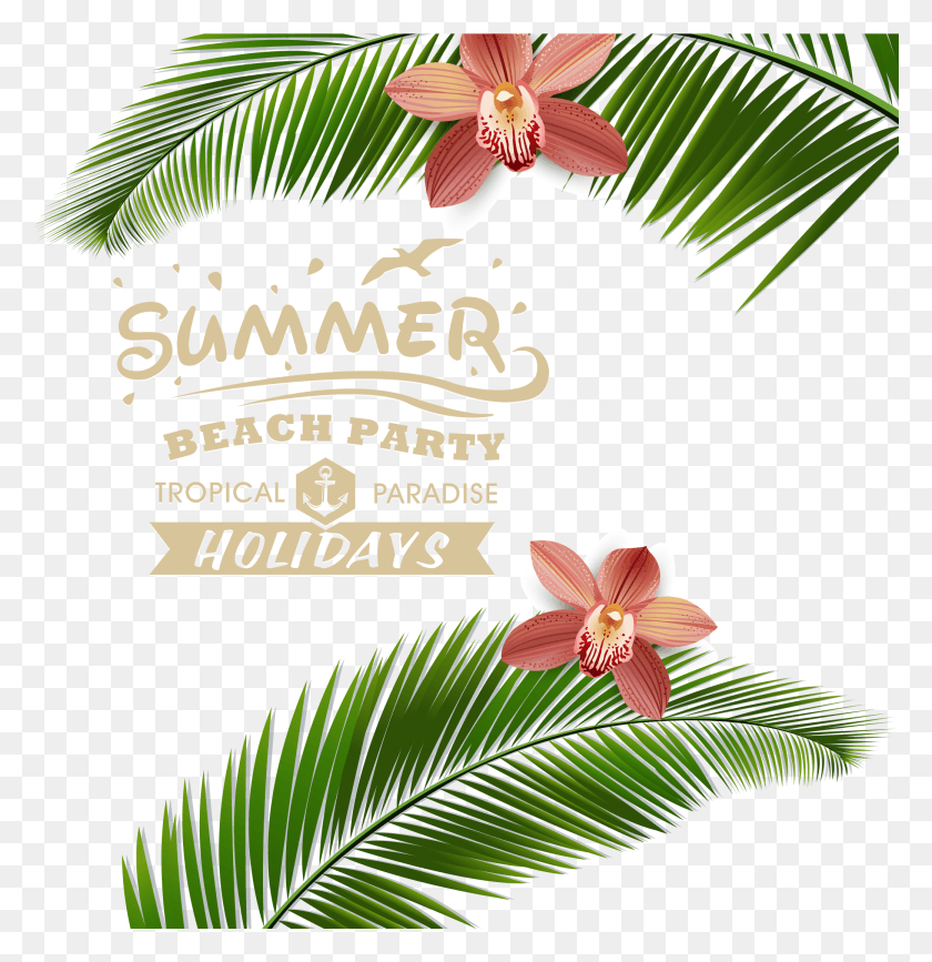 2080x2153 Курортное Изображение Летняя Вечеринка Вектор, Растение, Цветок, Лепесток Hd Png Скачать