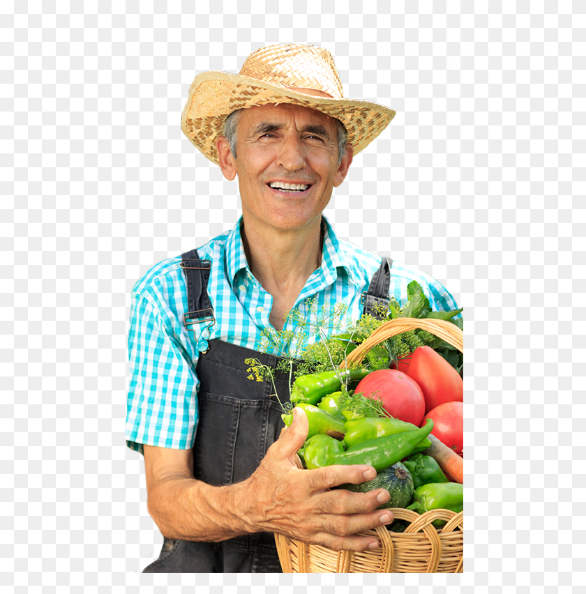488x792 Resources For Farm To School Grant Program Applicants Bush Tomato, Hat, Clothing, Apparel HD PNG Download