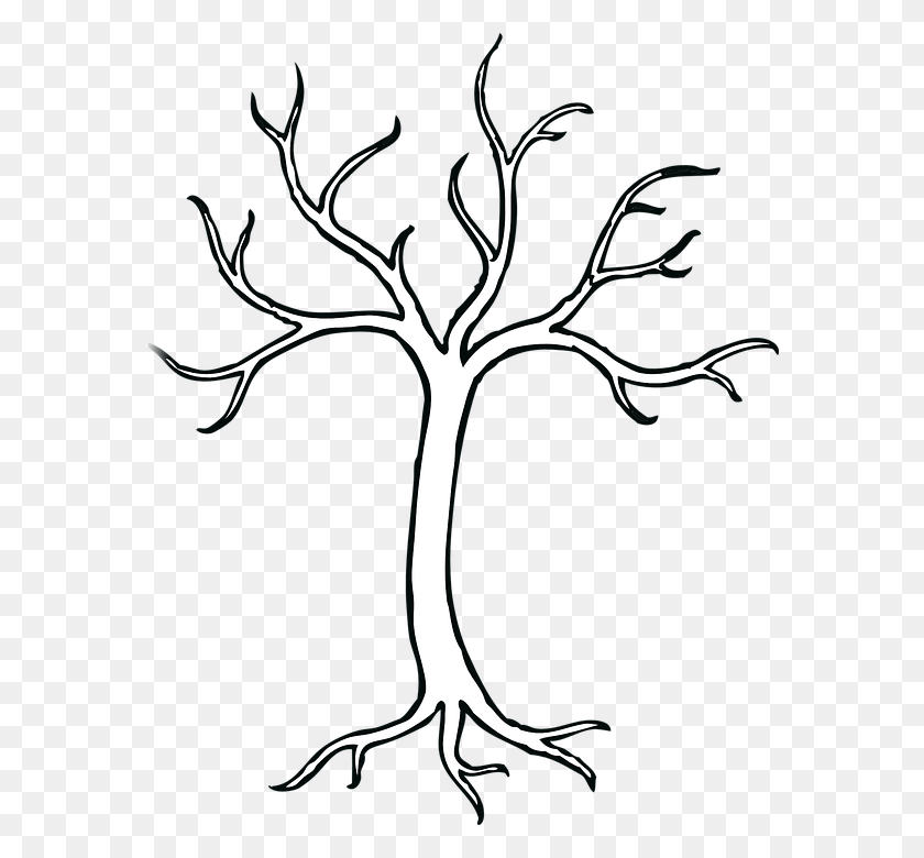 576x720 Resultado De Imagen Para Arbol Con Ramas El Cuerpo Tree With 5 Branches, Plant, Root, Stencil HD PNG Download