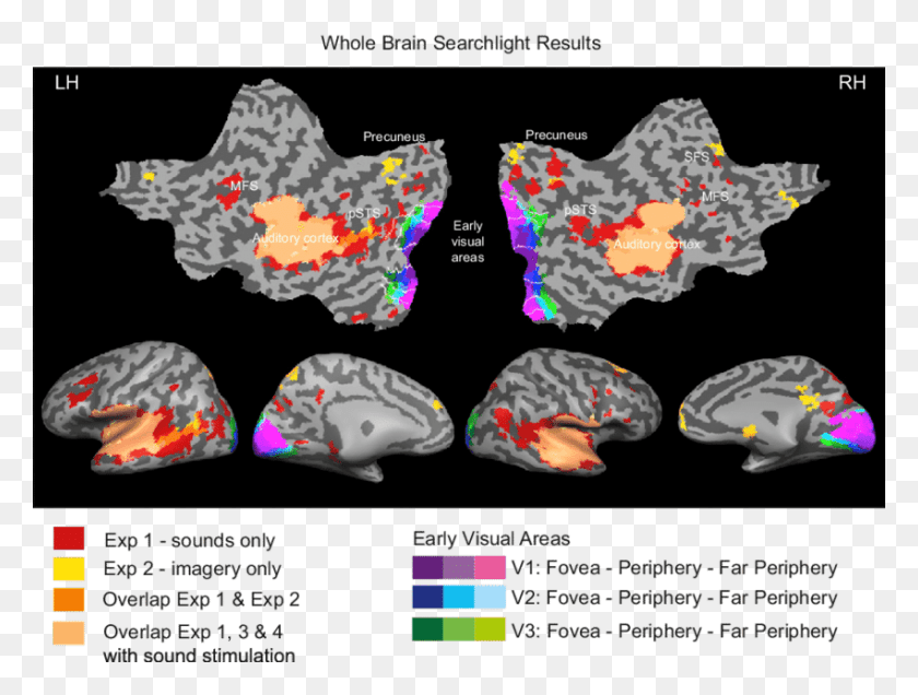 850x628 Результаты Анализа Всего Мозга Прожектором Для 3D-Моделирования, Сюжет, Текст, Природа Hd Png Скачать