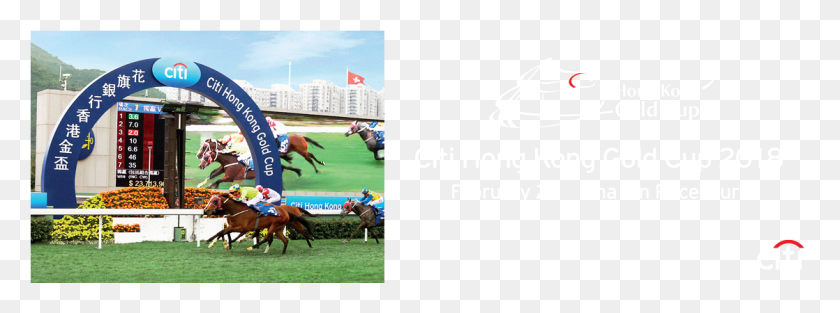 1118x364 Results The Race, Horse, Mammal, Animal HD PNG Download