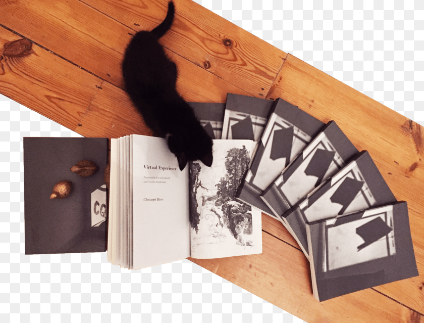 Reviewed By J Paul Mattick Jr, Wood, Animal, Cat, Mammal Clipart PNG