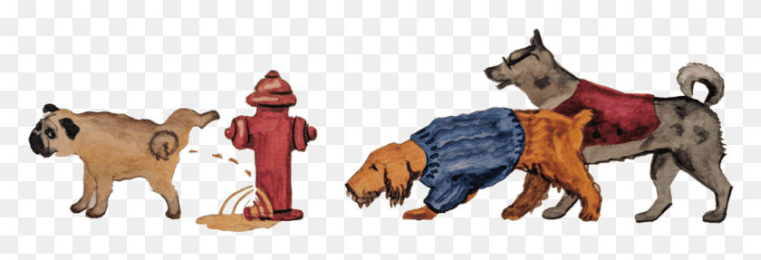 952x278 Reviews Kangaroo, Fire Hydrant, Hydrant, Person HD PNG Download