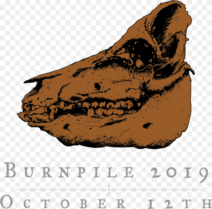 Rhinoceros, Snout, Person, Face, Head PNG