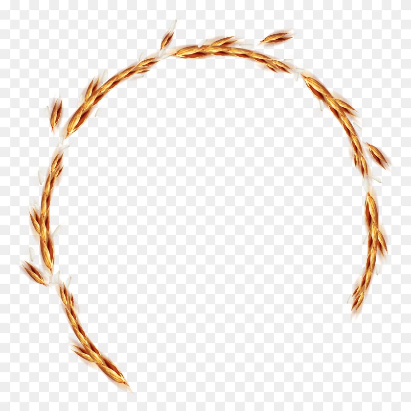 2446x2444 Rice Computer File Transprent Circle Of Rice Grains, Construction Crane, Architecture, Building HD PNG Download