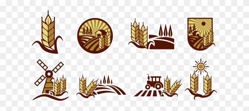 641x315 Rice Field Vector Labels Rice Field Logo, Meal, Food, Outdoors HD PNG Download