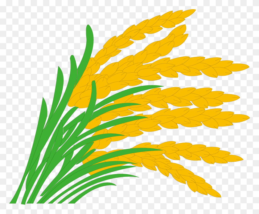 947x771 Rice Paddy Field Grasses Clip Art Rice Paddy Clipart, Plant, Leaf, Graphics HD PNG Download