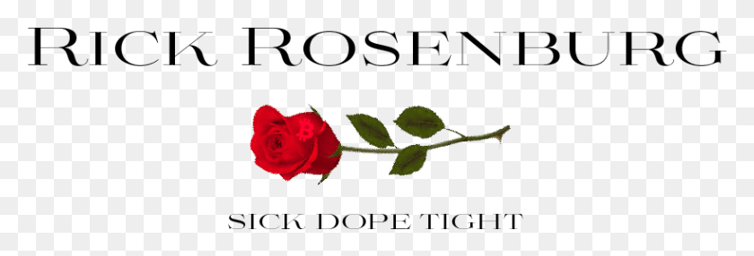 818x238 Descargar Png / Rosas De Jardín De Rickrosensignsteem