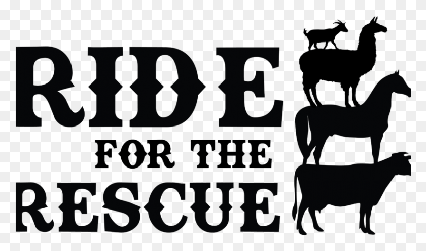 821x459 Ride For The Rescue Deadline Is Monday Arabian Camel, Text, Number, Symbol HD PNG Download