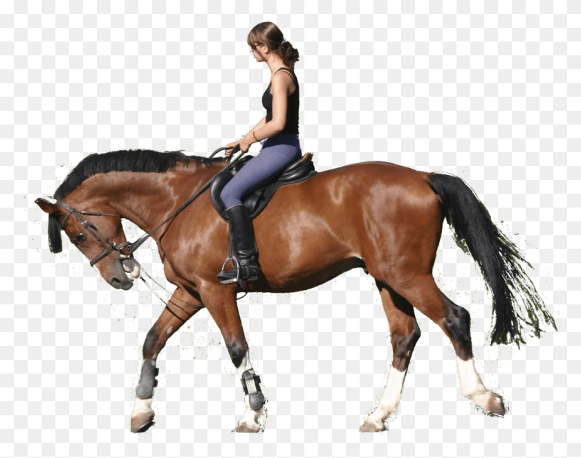 999x772 Rider Horse And Rider, Person, Human, Mammal HD PNG Download