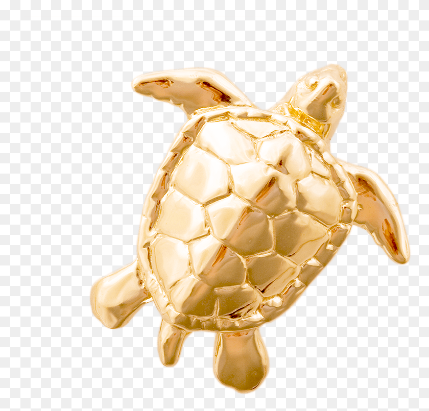775x745 Морская Черепаха Ридли, Черепаха, Черепаха, Рептилия Png Скачать