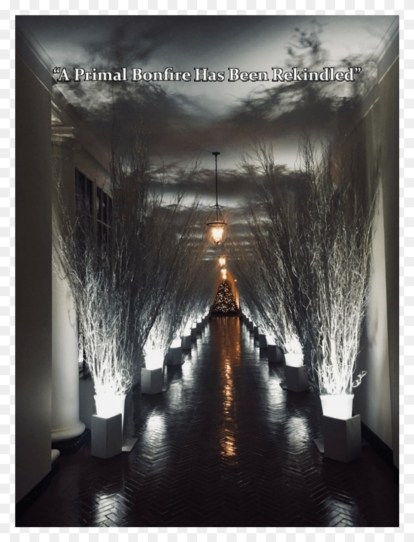 991x1320 Right After Defeating The Rotten In Dark Souls 2 Trump Christmas White House, Corridor, Flooring, Floor HD PNG Download