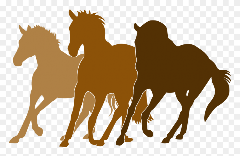 1200x751 Логотип Лошадей, Лошадь, Млекопитающее, Животное Png Скачать