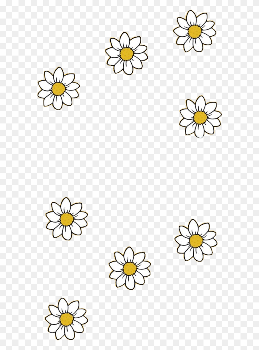 602x1074 Rikkisgirl Yellow Daisy Daisies Flowers Aesthetic Yellow Aesthetic Flower Drawing, Floral Design, Pattern, Graphics HD PNG Download