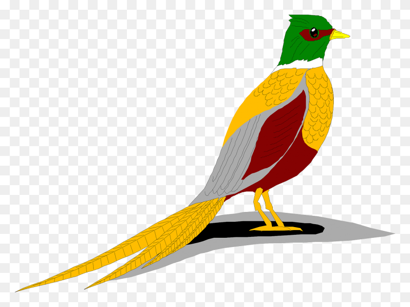 1280x936 Ring Necked Pheasant Clip Art, Bird, Animal, Beak HD PNG Download