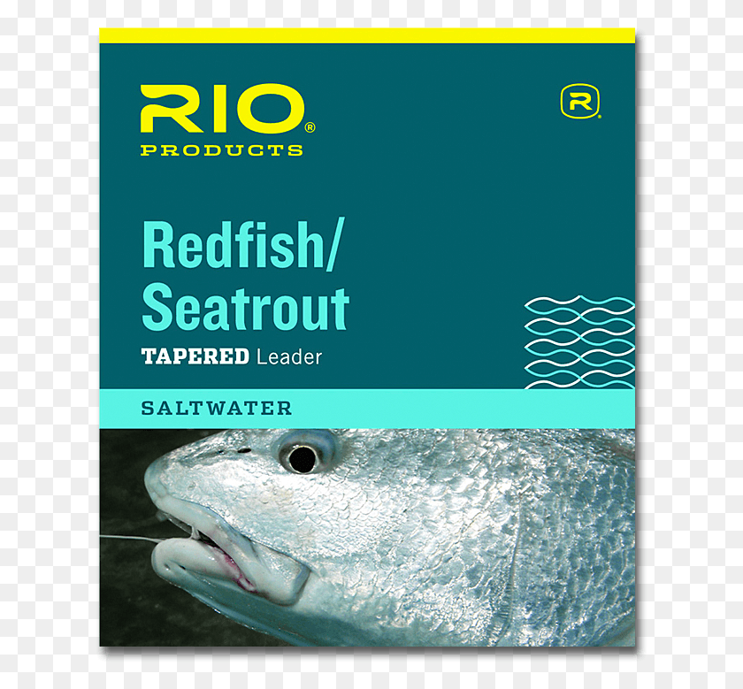 625x719 Rio 9390 Redfishseatrout Leaders Конические Поводки Для Морской Ловли Нахлыстом, Кижуч, Рыба, Животное Png Скачать
